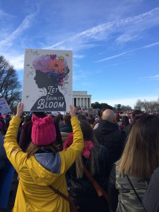 Women's March, 2018